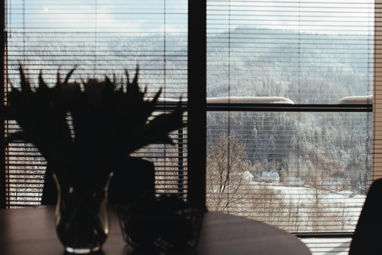Apartamenty 'Okno Z Widokiem' Вісла Екстер'єр фото